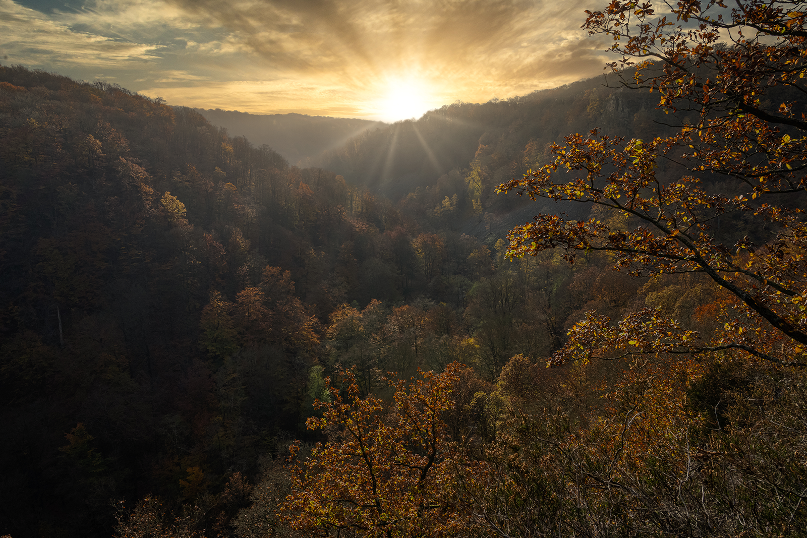 Söderåsens Nationalpark