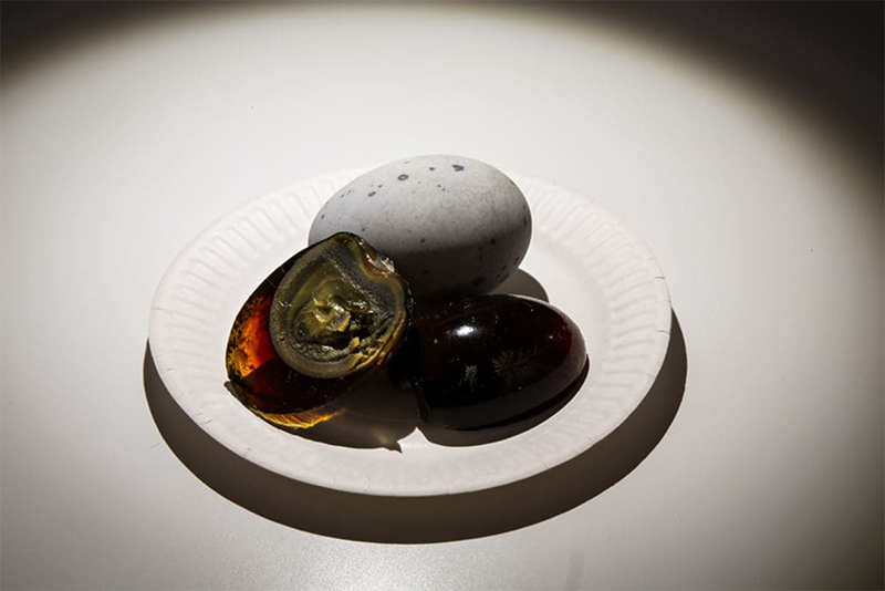 Disgusting Food Museum – bild 2