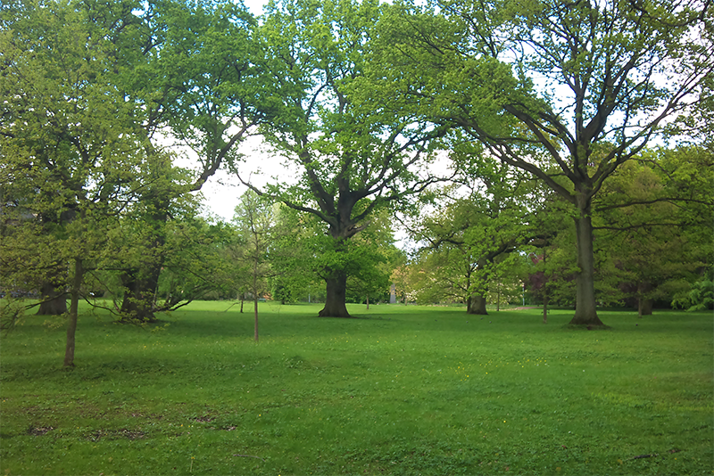 Alnarpsparken – bild 1