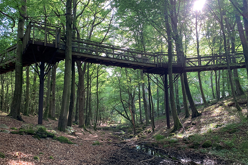 Fulltofta Naturreservat
