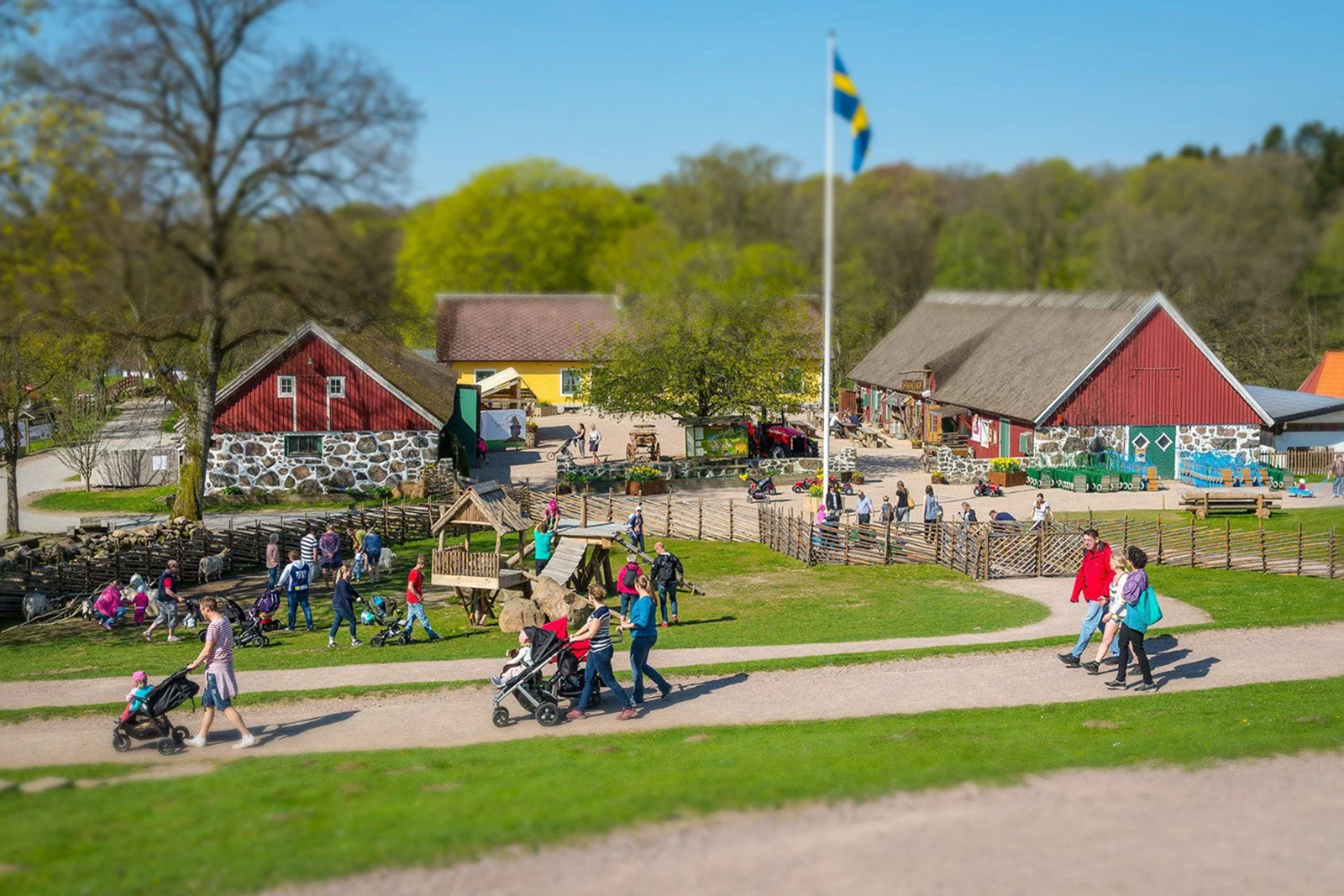 Skånes Djurpark – bild 2