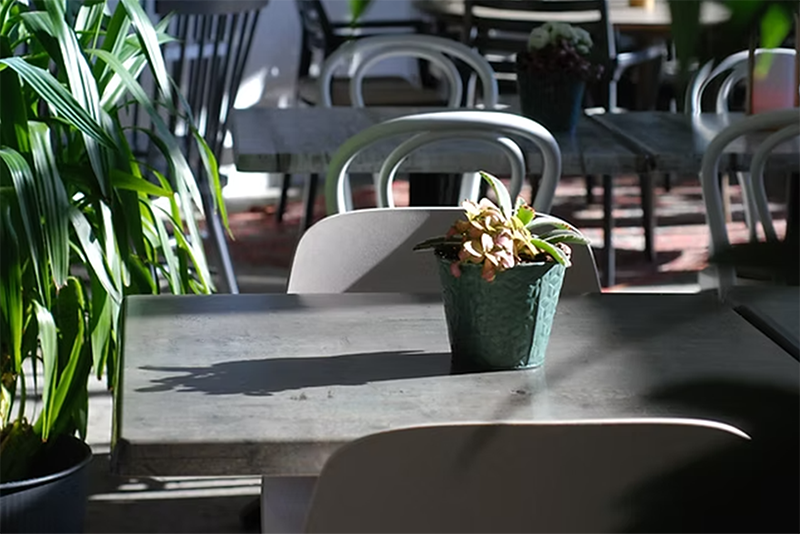 Flyinge Plantshop – bild 2