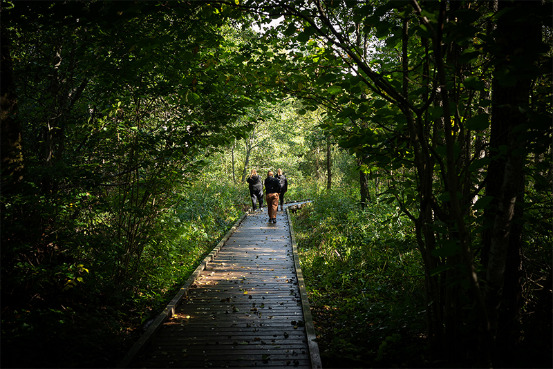Fulltofta Naturreservat – bild 2