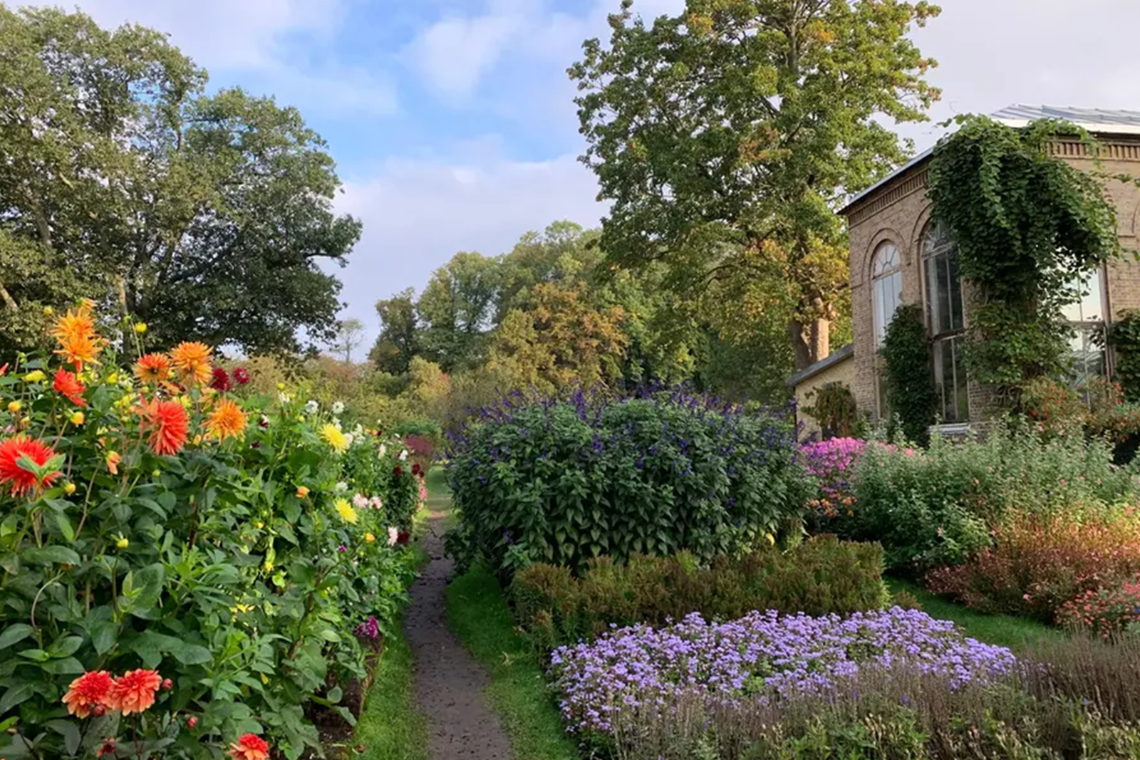 Botaniska trädgården