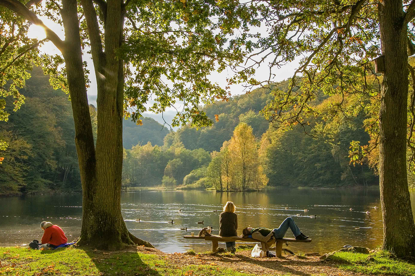 Söderåsens Nationalpark – bild 2