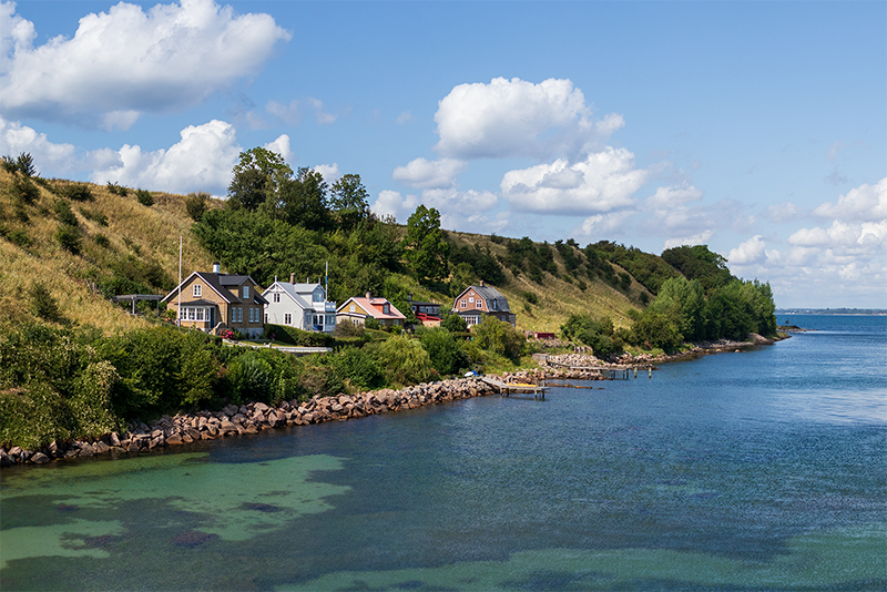 Ven – bild 2
