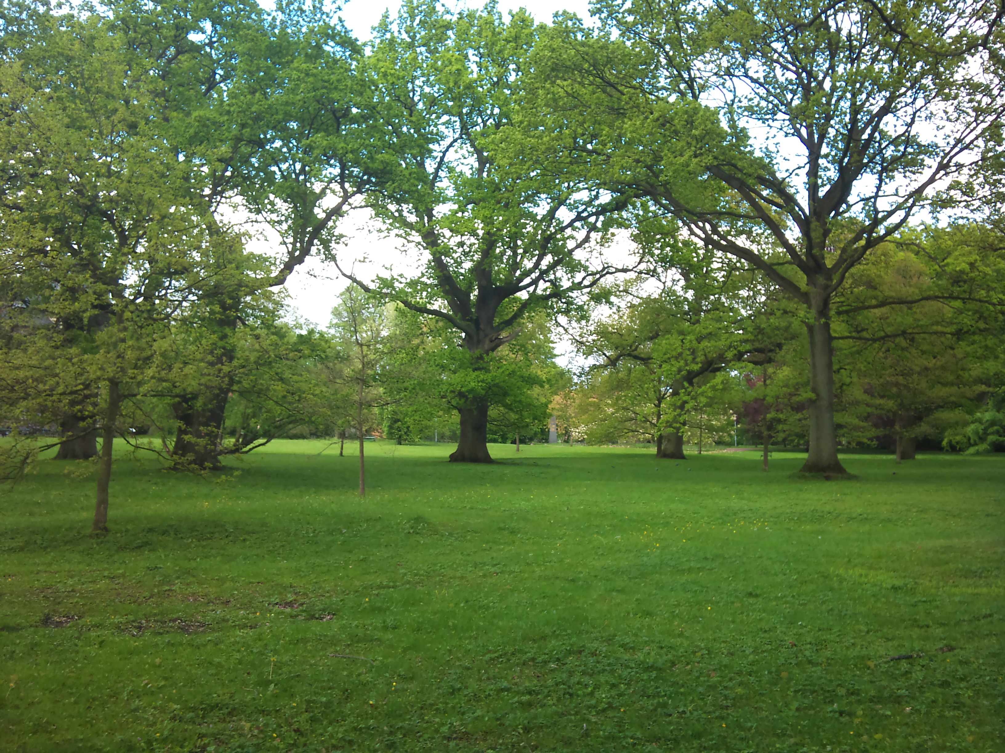 Alnarpsparken – bild 2