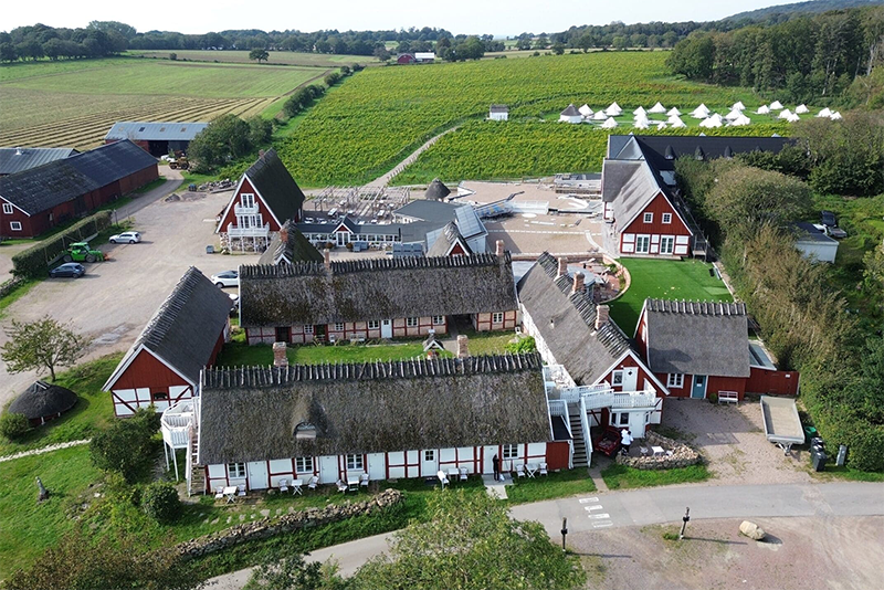 Arilds Vingård – bild 3