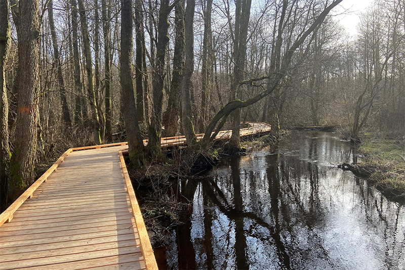 Fulltofta Naturreservat – bild 3