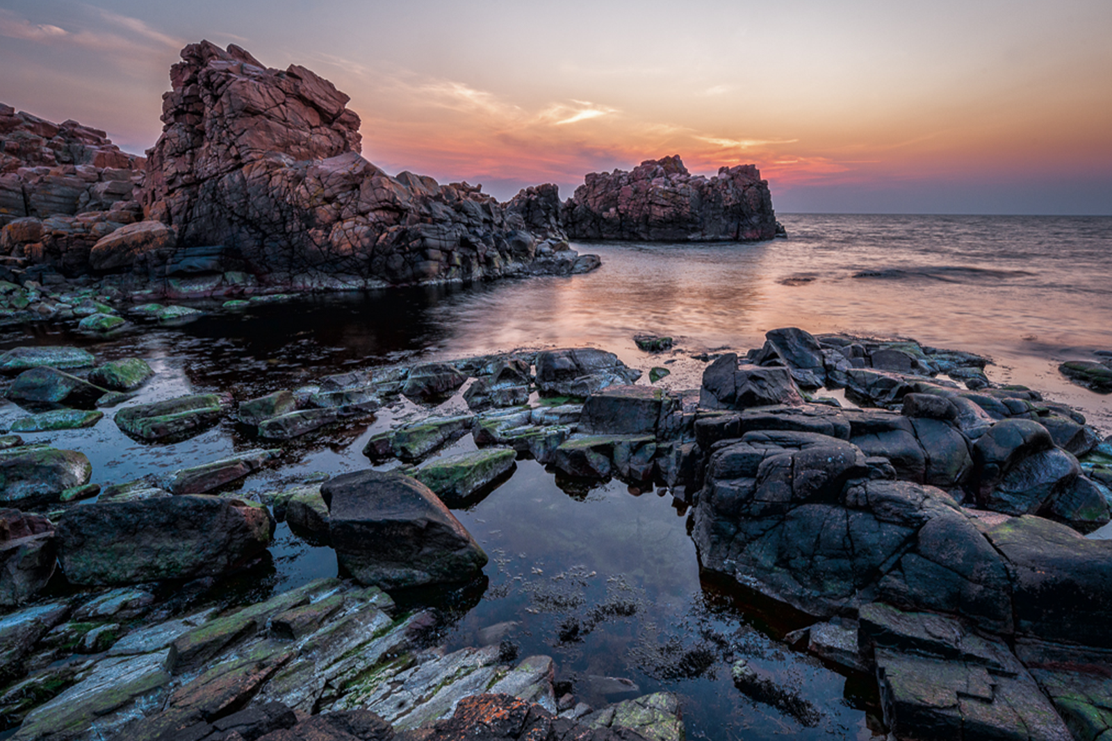 Hovs Hallar Naturreservat – bild 2