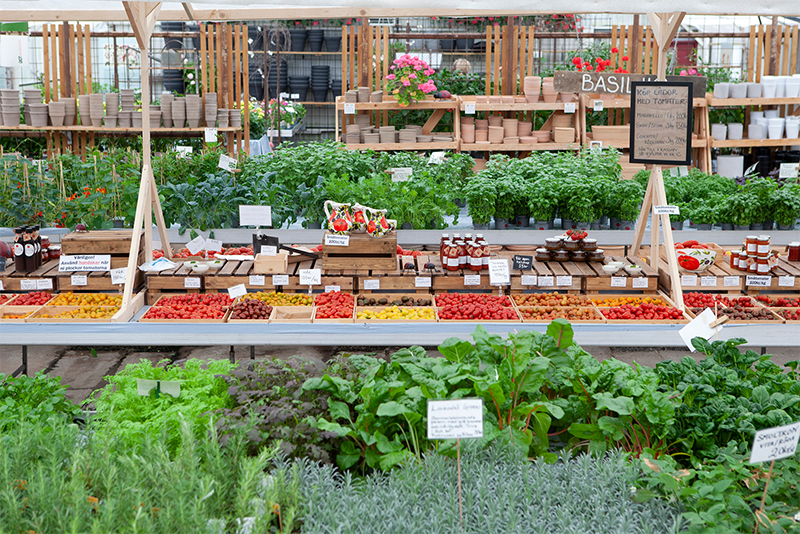 Tomatens Hus – bild 2
